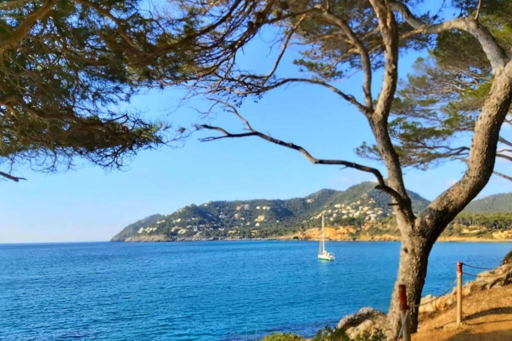 Beach Apartment Cala Torta Pool & Terrace Canamel カプデペラ エクステリア 写真